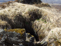 Hrafnagja