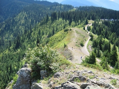 Hurricane Ridge