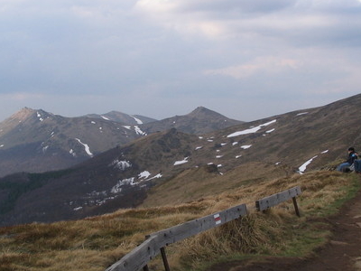 Halicz