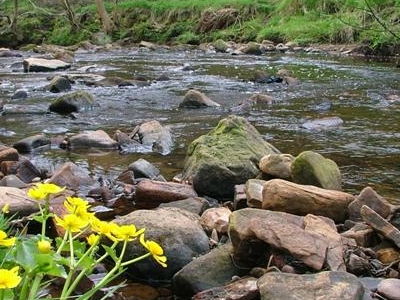 Haltwhistle Burn