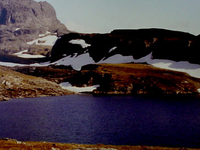 Hardangervidda National Park