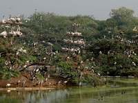 Uppalapadu Uppalapadu