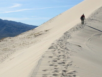 Kelso Dunes Kelso Dunes