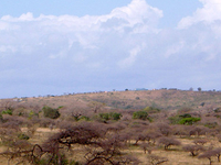 Hluhluwe