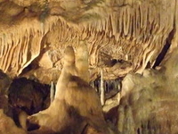 Caves Of Hotton Caves Of Hotton