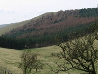 Housedon Hill Housedon Hill