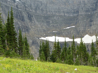 Iceberg Lake Trail