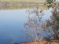 Tadoba Lake