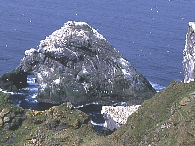 Inaccessible Island