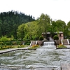 Inside Mughal Gardens Achabal
