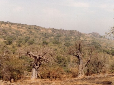 Bandafassi