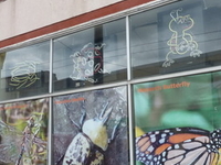Insectarium