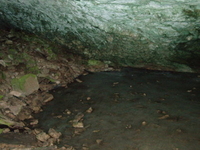 Inside Ice Cave Custard NF Inside Ice Cave Custard NF