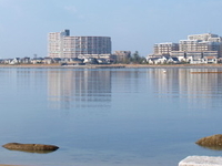 Island City