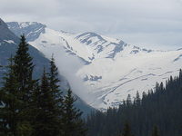 Jackson Glacier Trail