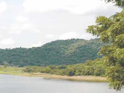 Jambughoda Wildlife Sanctuary Jambughoda Wildlife Sanctuary