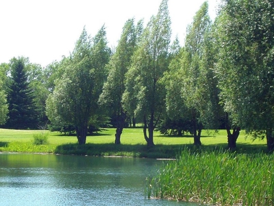 Jamestown Country Club