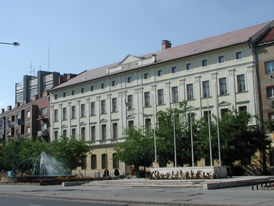 Janos Damjanich Museum