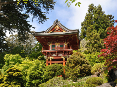 Japanese Tea Garden