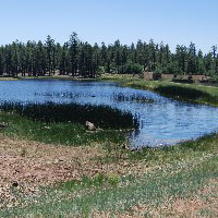 J D Dam Lake