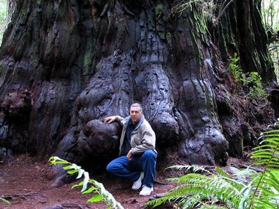 Jedediah Smith Redwoods State Park