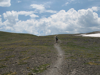 Jedediah Smith Wilderness