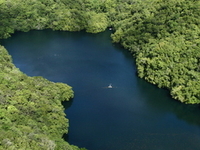 Jellyfish Lake Jellyfish Lake