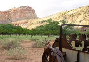 Johnson Orchard Trail Stop