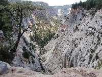 Jolley Gulch
