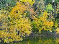 Jásztelek-Pusztamizse Nature Reservation Jásztelek-Pusztamizse Nature Reservation