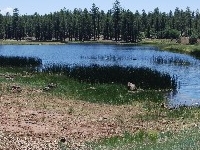 J. D. Dam Lake
