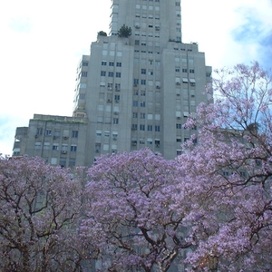 Kavanagh Building