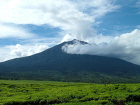 Kerinci Mounth
