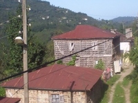 Gulyali Gulyali