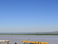 Kisumu Impala Sanctuary