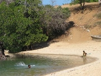 Kiwayu