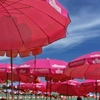 Koh Larn - Pattaya's Island Paradise