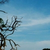 Koh Larn - Pattaya's Island Paradise