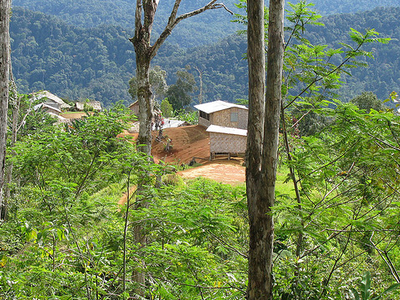 Kokoda