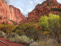 Kolob Canyons