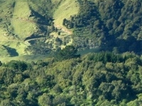 Kaimai Range