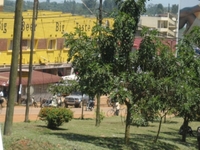 Fort Portal