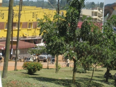 Fort Portal