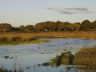 Katavi National Park