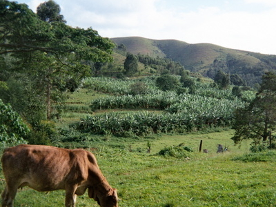 Kisizi