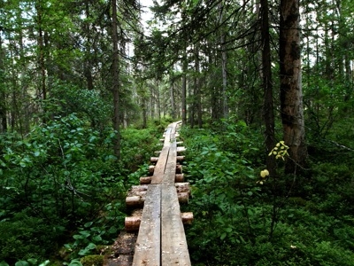 Petkeljarvi National Park