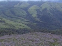 Baba Budangiri Baba Budangiri