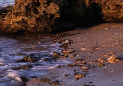 La Brena y Marismas de Barbate Nature Reserve