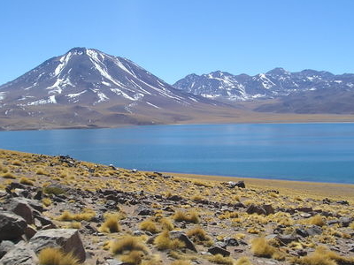 Los Flamencos National Reserve