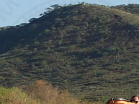 Lake Baringo Lake Baringo